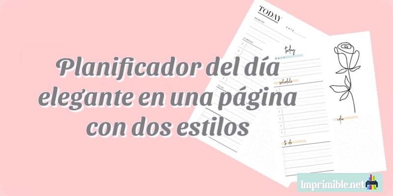 Planificador del día elegante en una página con dos estilos