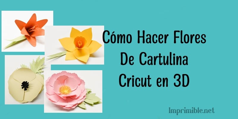 Cómo Hacer Flores De Cartulina Cricut en 3D
