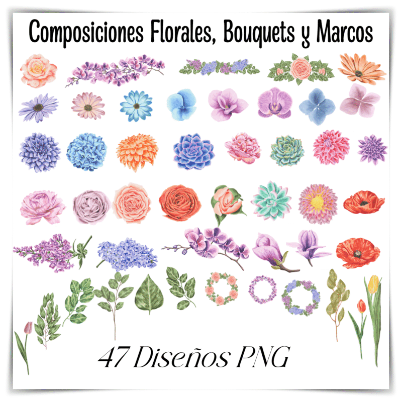 Composiciones Florales, Bouquets y Marcos 47 diseños png