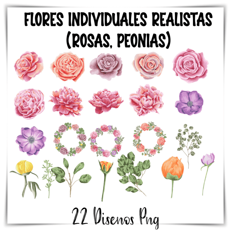 flores realistas PNG, rosas y peonías digitales, ilustraciones florales para imprimir, flores PNG con uso comercial, stickers florales realistas,