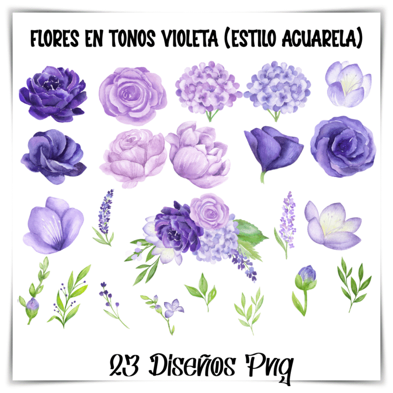 flores violetas acuarela PNG, ilustraciones florales digitales, flores en tonos lilas, recursos digitales con uso comercial,