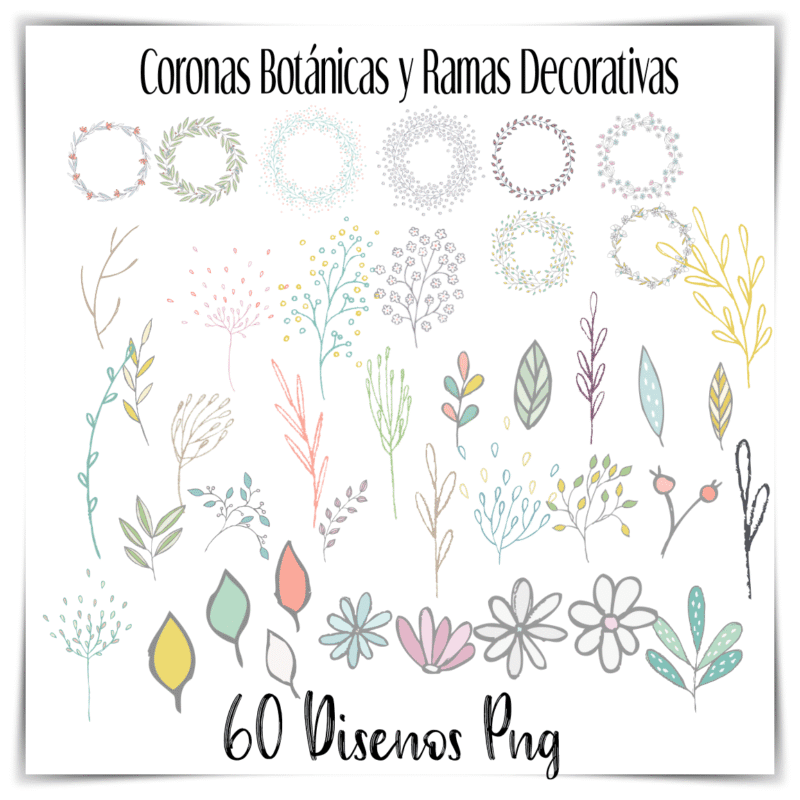 coronas botánicas PNG, ramas decorativas digitales, ilustraciones florales PNG, stickers botánicos para imprimir