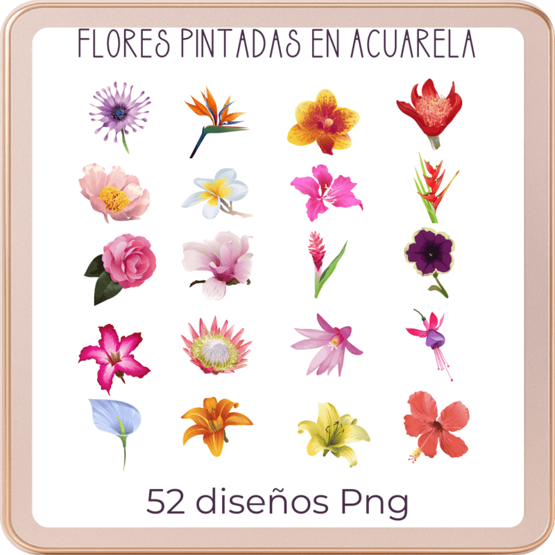 Stickers Digitales de Flores en Acuarela