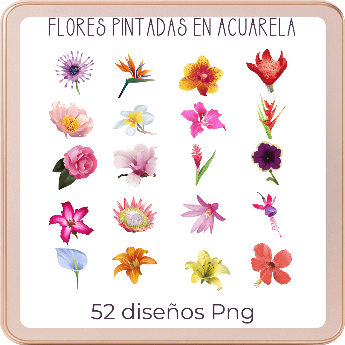 Stickers Digitales de Flores en Acuarela